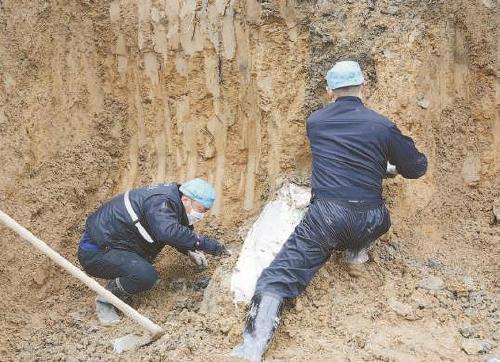 假天狮传销引发杀人埋尸案挖半座山找到被害人尸体